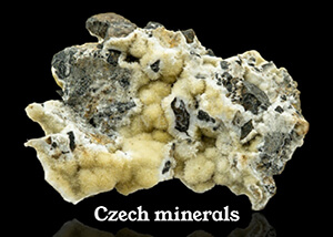 Czech